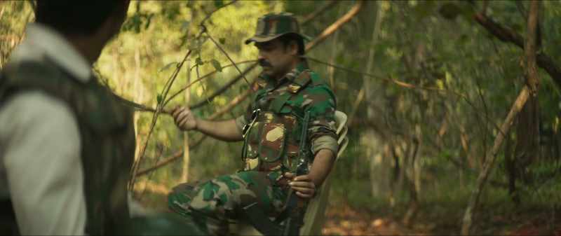 To gather Tendu leaves