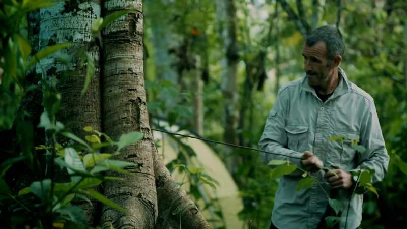 TO GROW SO LARGE, A SNAKE NEEDS AN UNUSUALLY HOT ENVIRONMENT