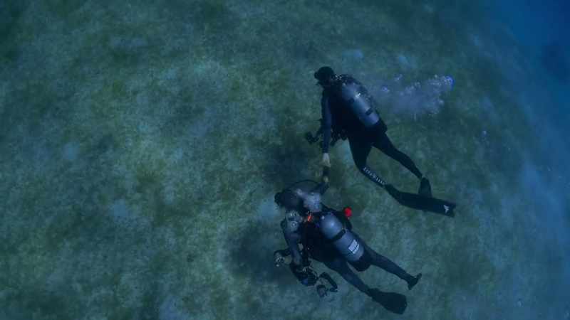 To have this dive partner who loves to be underwater