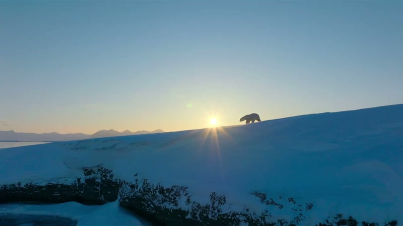 '..to our epic journey around the sun