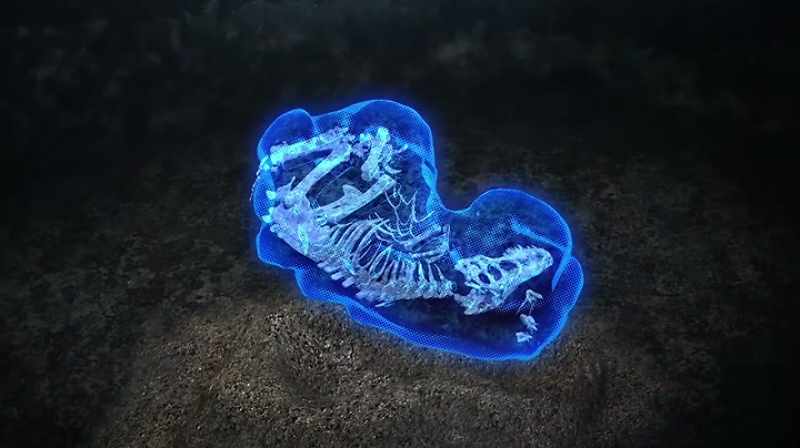 TO PROTECT THE FRAGILE BONES AND JACKET