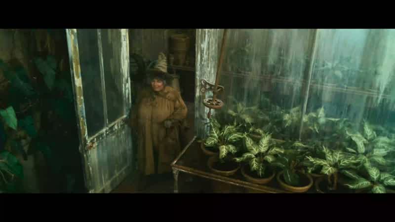 to really, really hone in on the visual effects