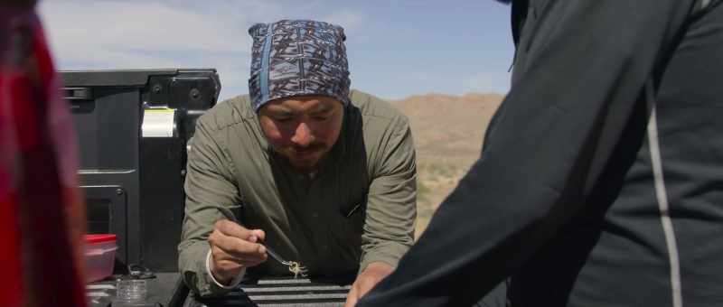 To study scorpion venom