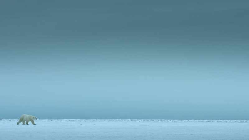 To survive a life below zero