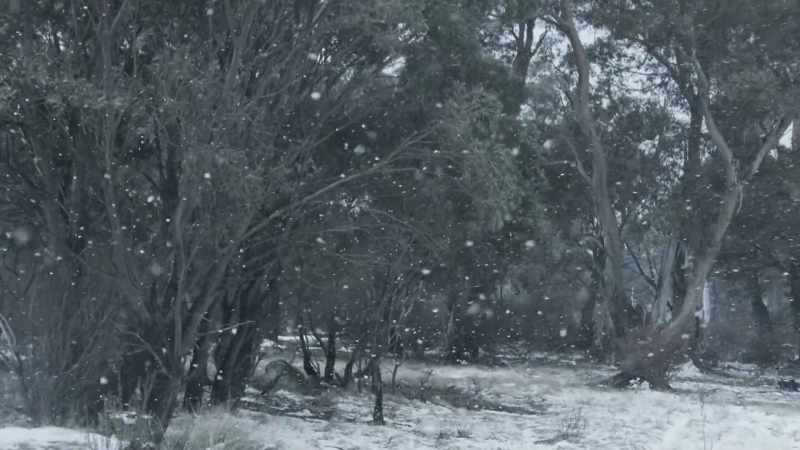 To survive here, you must be able to tolerate really harsh conditions