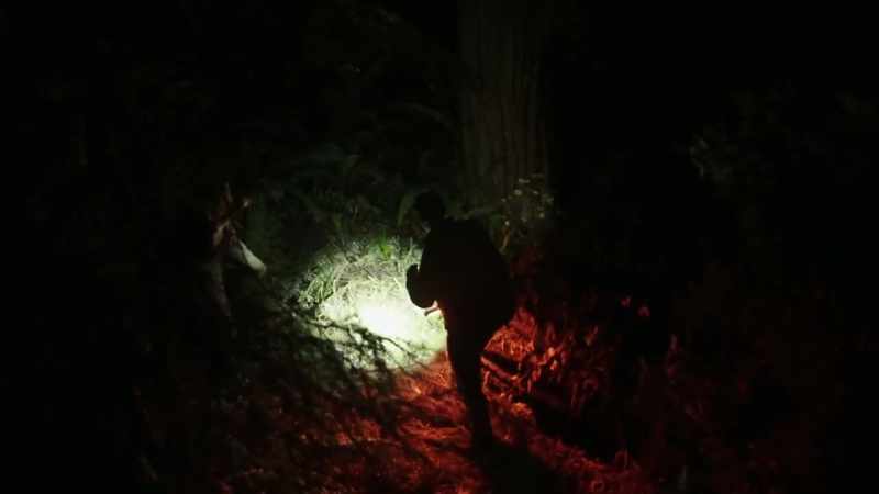 to the discovery of a possible nesting sight