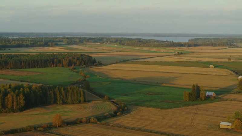 To the fields of Finland
