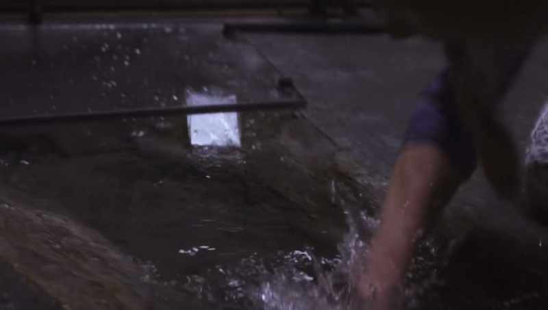 To the right! To the right! - Scott! Scott! Scott!