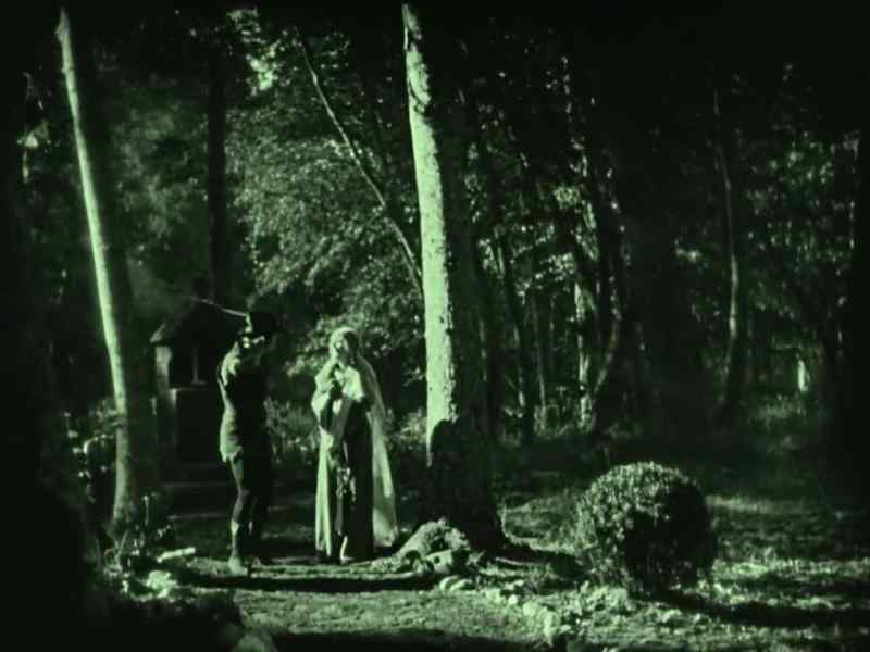 To the trees with all our men. Entrap these troops
