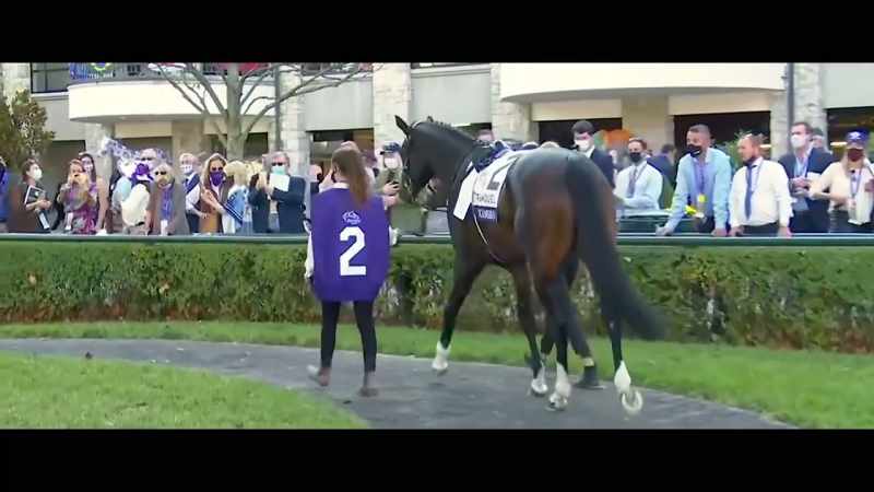 To win a Breeders' Cup race is huge