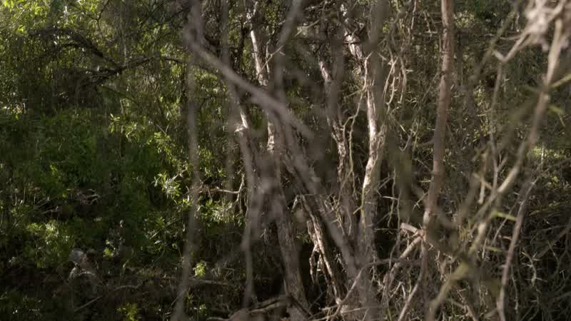 TOBY: Whoa!