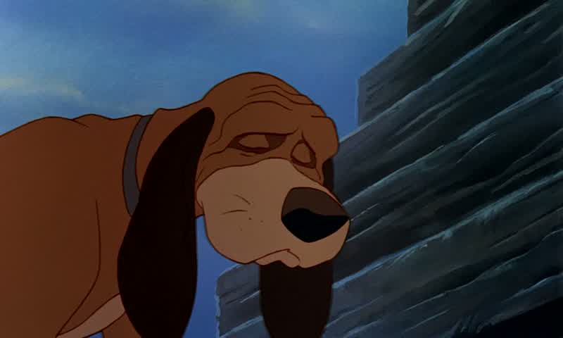 Tod, I