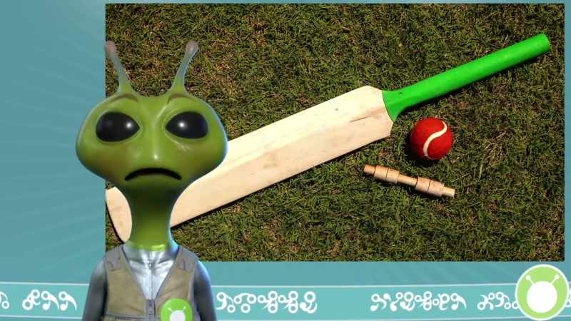 Today, we investigate cricket