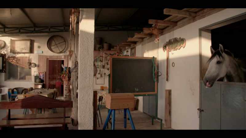 Today, Matteo Messina Denaro is