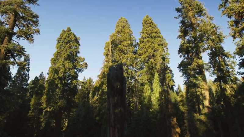 Today, our climate is changing, bringing an unprecedented level