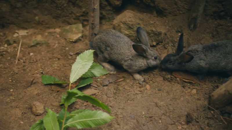 Today the restaurant is closed