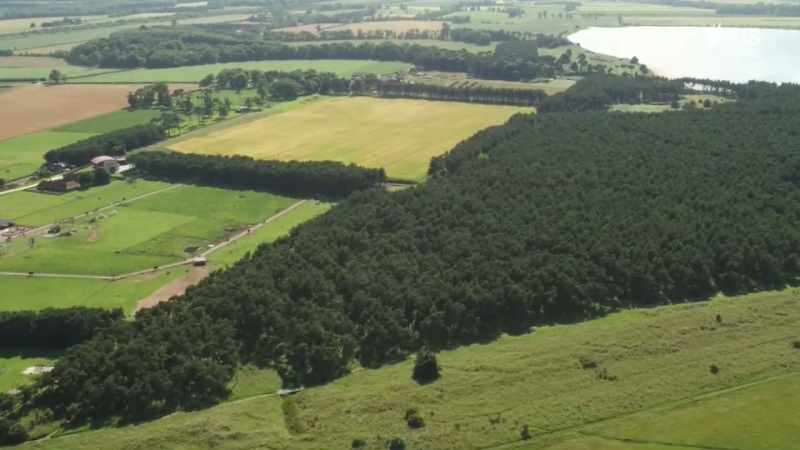 Today, those trenches are buried under forestry