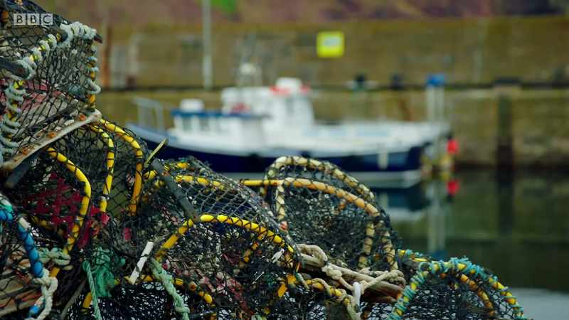 Today we're fishing for lobster