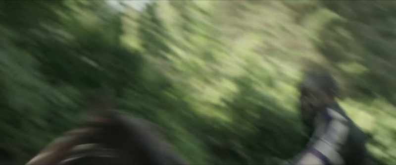 [TODD GRUNTS][HORSE WHINNIES]