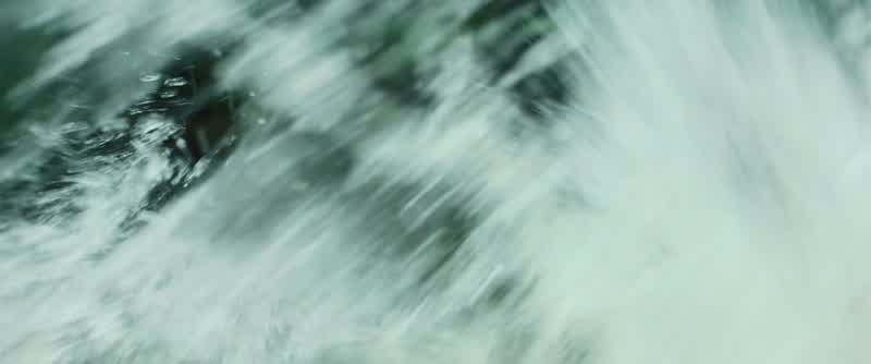 TODD: Manchee!