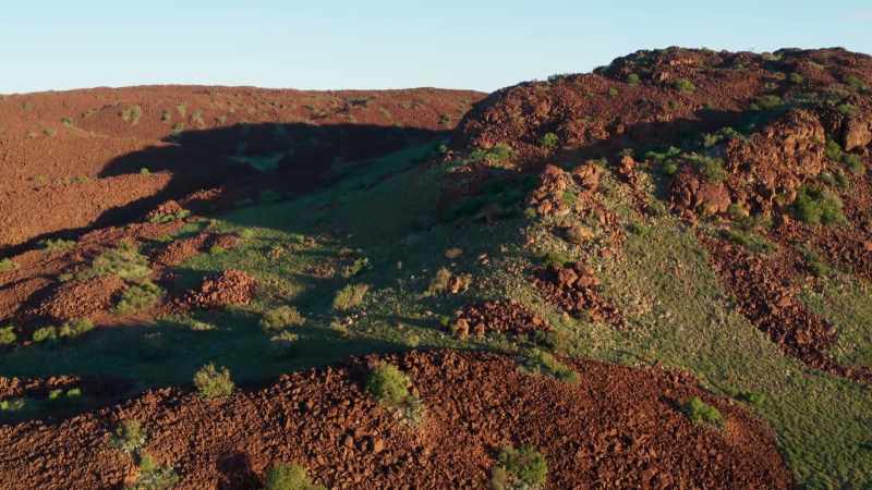 Together, they decimated Australia's unique wildlife