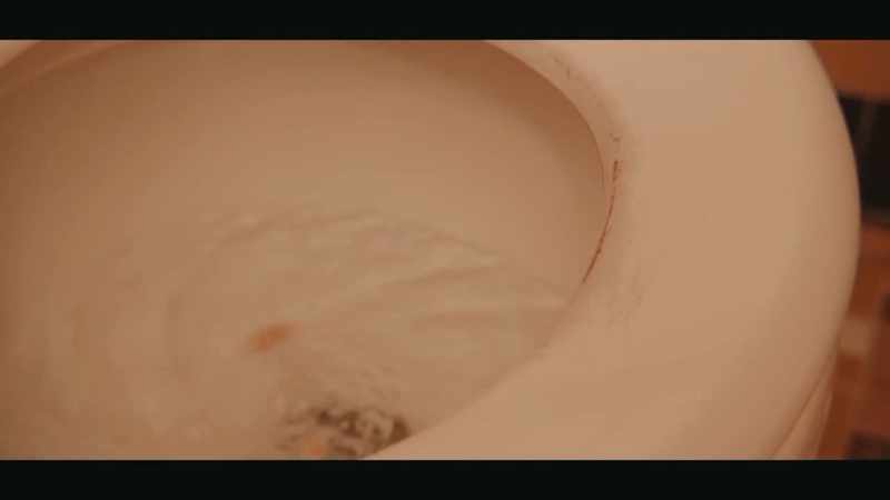 (toilet flushes)