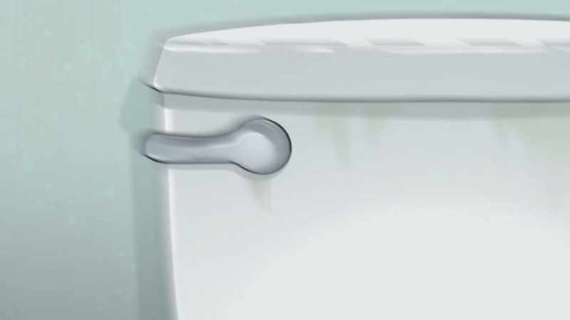 [toilet flushes]