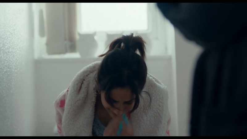 TOILET FLUSHES