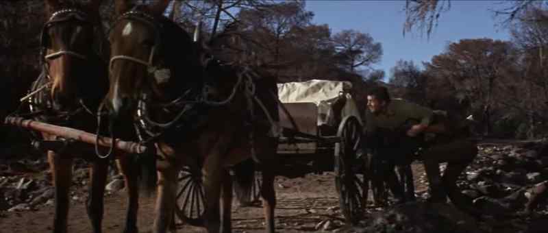 Tom! Tom! Use the horses to get back