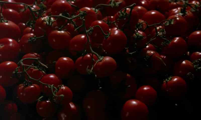 Tomatoes