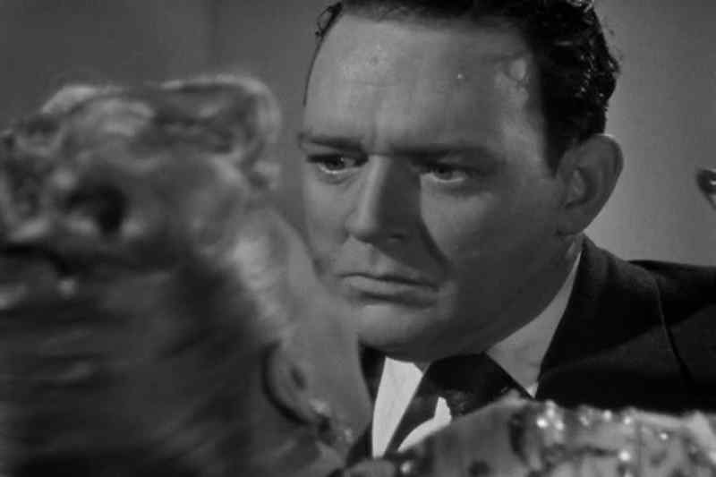 Tony! Tony, I didn't mean it