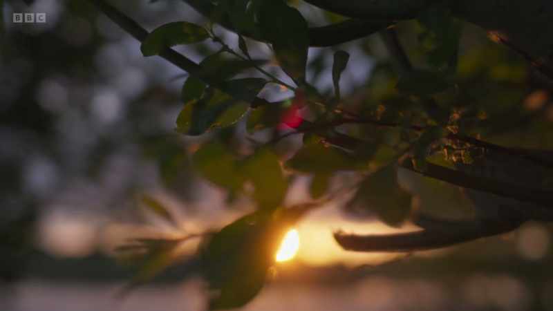 Too often, we have regarded nature as something it's nice to have