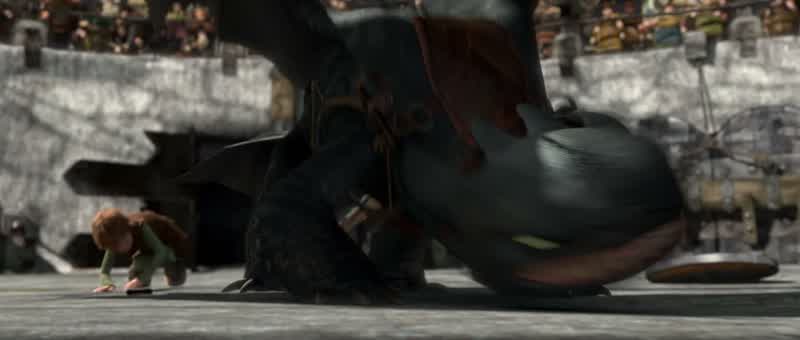 Toothless, go