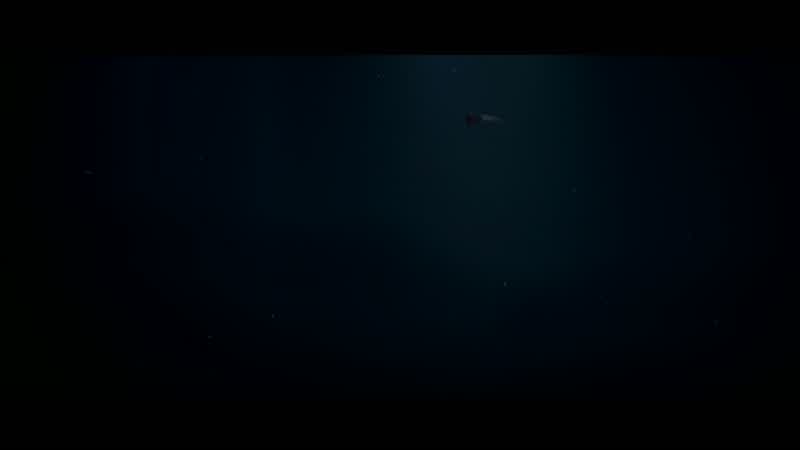 Torpedo in the water