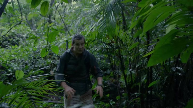 Torrential rain, tropical heat