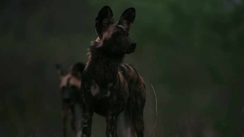 Tracking her mother into a place she's never been before