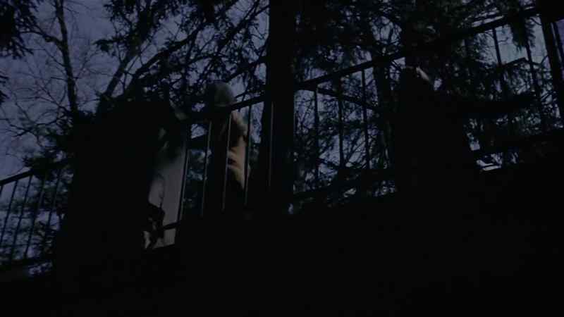 Tracy: If he's just wounded