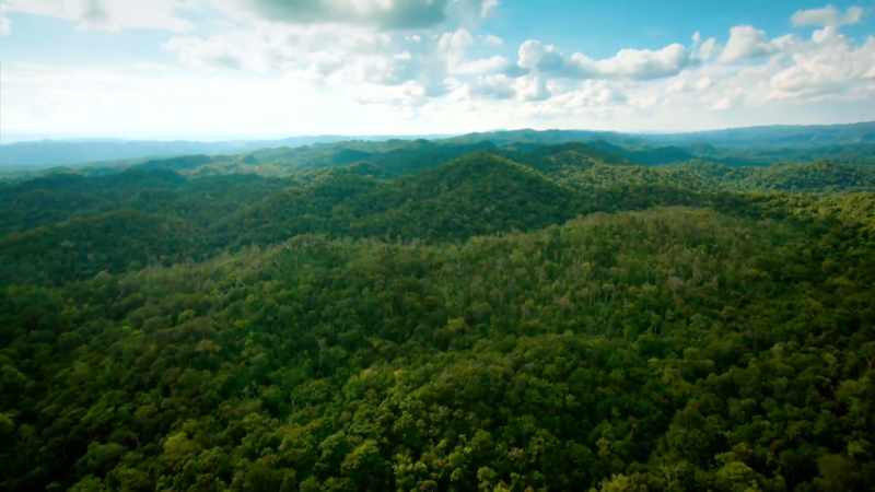 Trade between distant jungle cities