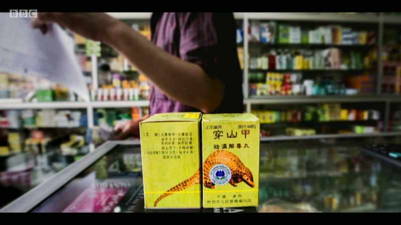 Traders claim that they have medicinal purposes