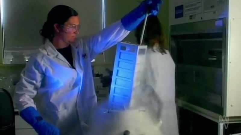 Traditional skin grafts are fast and safe