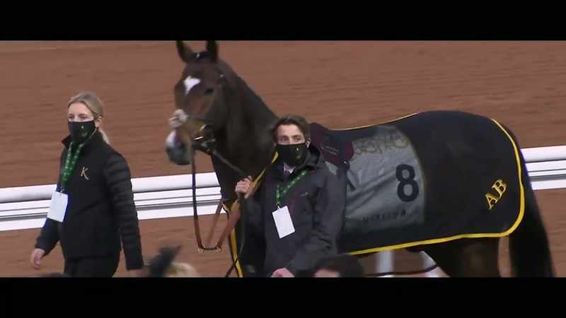 Trained in Great Britain by Andrew Balding