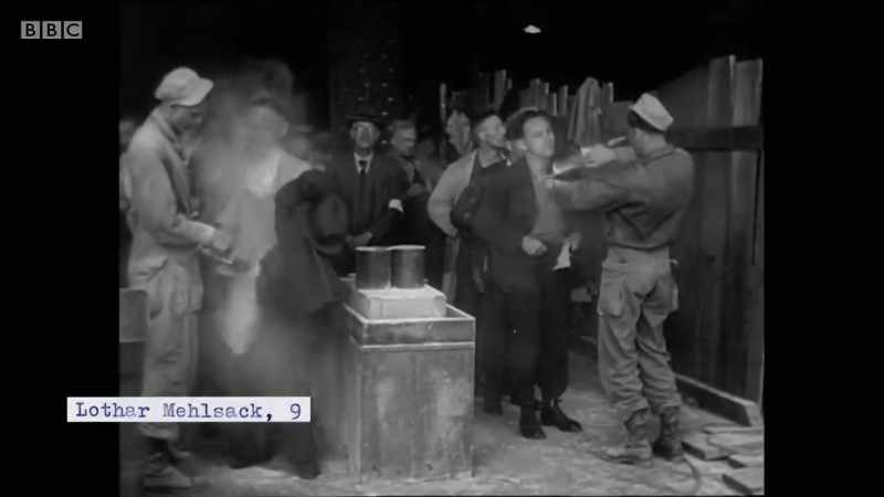 TRANSLATION: Lice were like humans' pets at the time