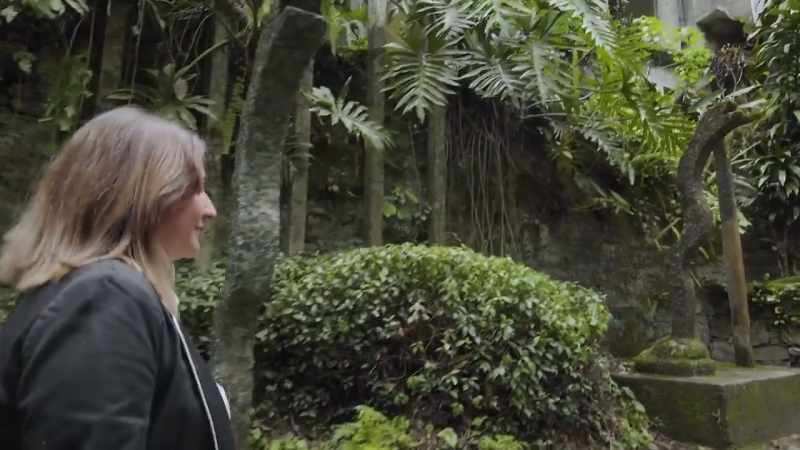 [translator] He arrived here looking for orchids