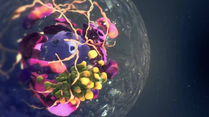 Transporting nutrients, moving things around