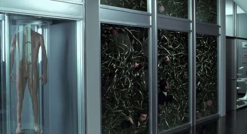 Trapped like rats