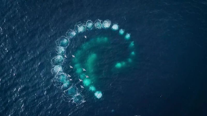Trapping them in a spiral of bubbles