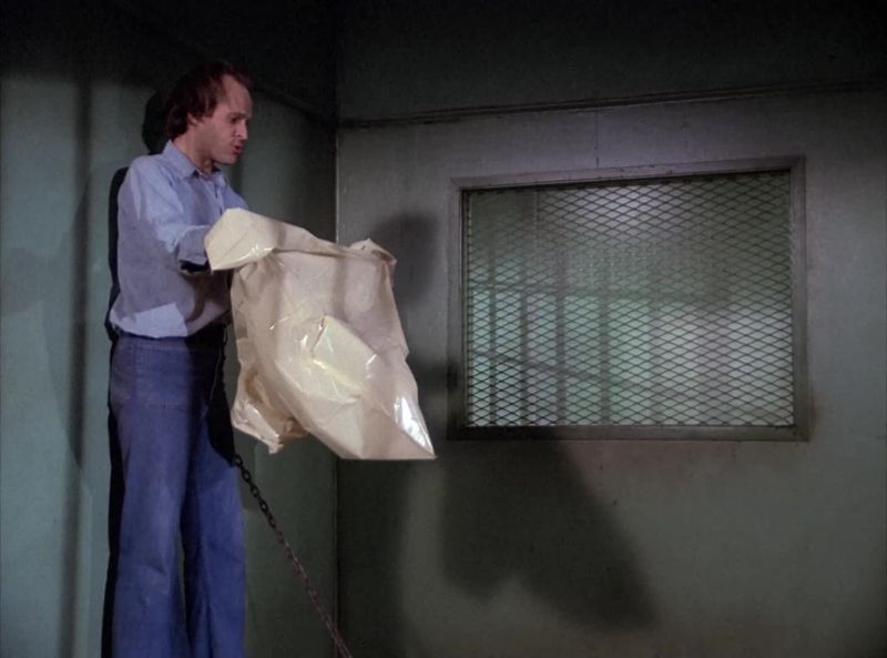 Trash bags!