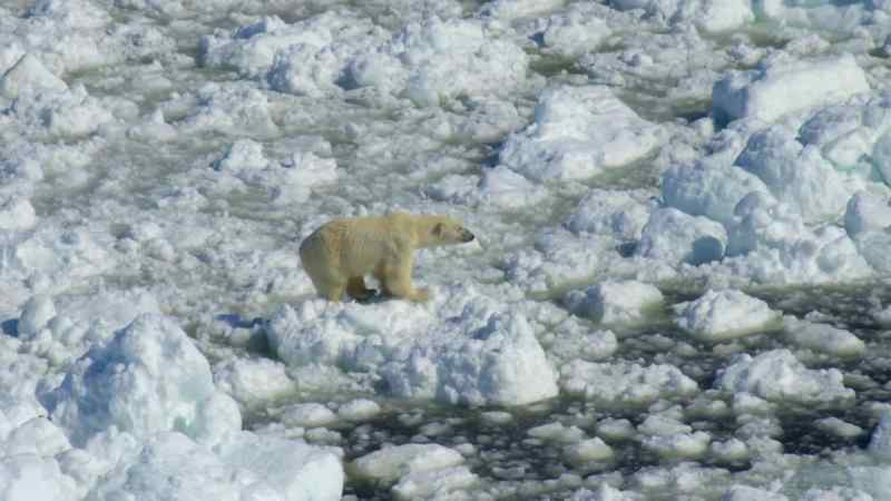 Traversing this icy landscape has turned dangerous