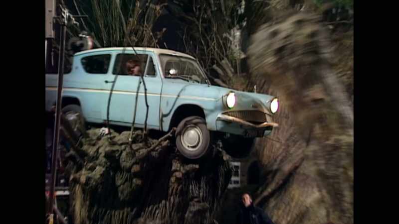 Tree comes down and hits! -(creaks)