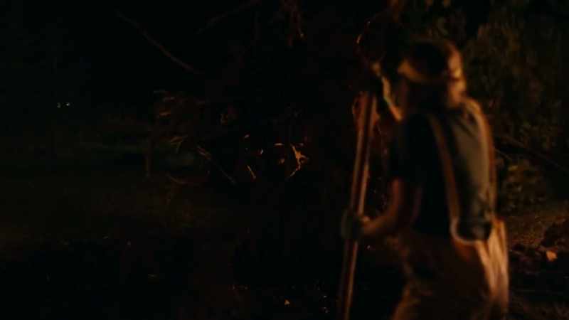 (tree cracking)